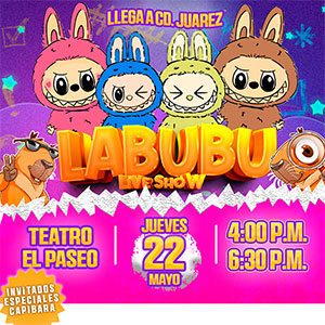 Labubu Live Show