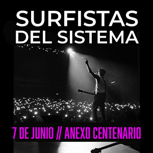 Surfistas del Sistema