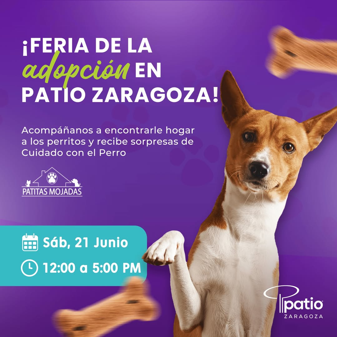 Feria de la Adopción por asociación “Patitas Mojadas”