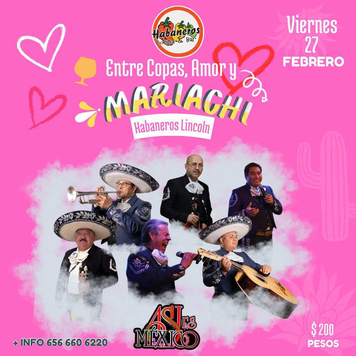 Entre Copas, Amor y Mariachi