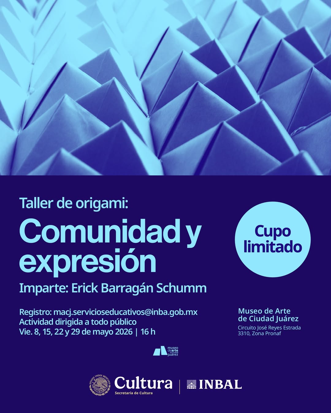 Taller de Origami: Comunidad y Expresión