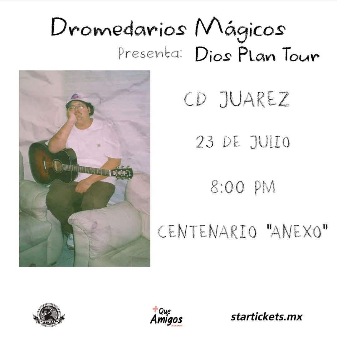 Dromedarios Mágicos