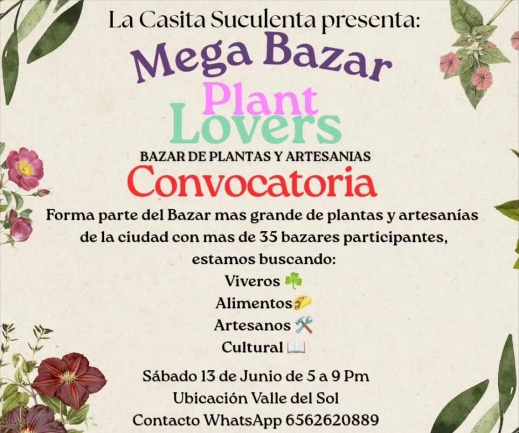 Mega Bazar Planta Lovers
