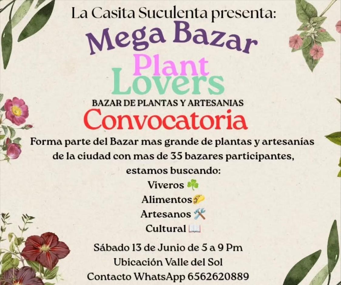 Mega Bazar Planta Lovers